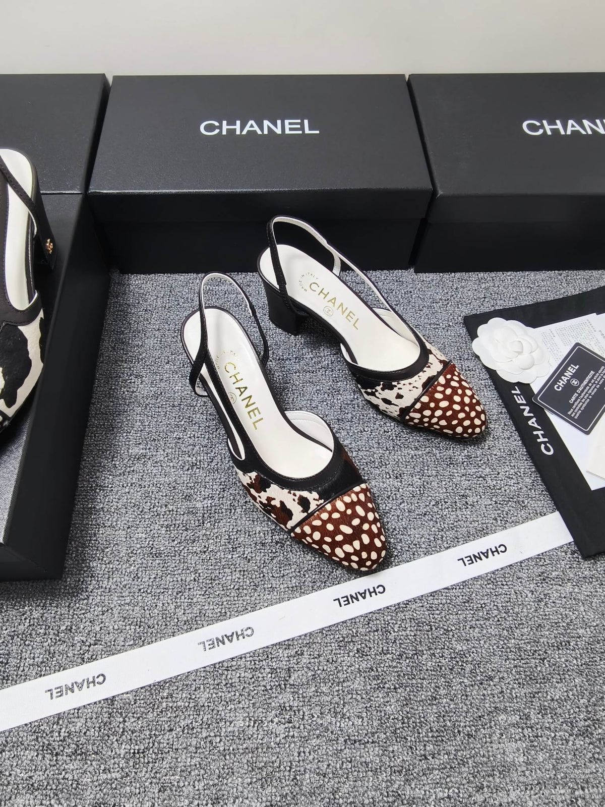 CC SS 2026 Slingbacks 6.5cm White Brown Black Calfskin Lambskin