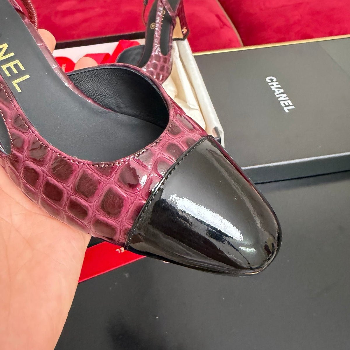 CC 26s Slingback Burgundy Black Glossy Crocodile Embossed Leather 901102
