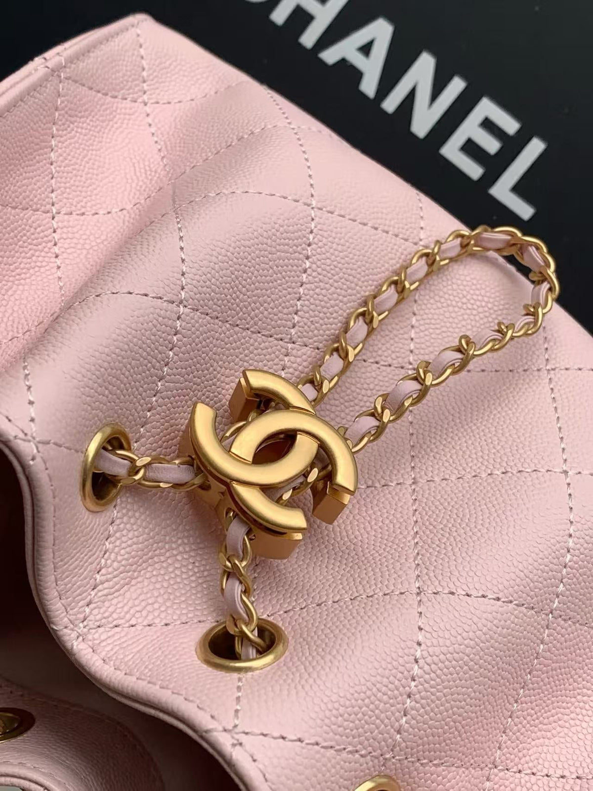 Chanel 2026 Hobo Bag 22cm Muted Pink Caviar Leather