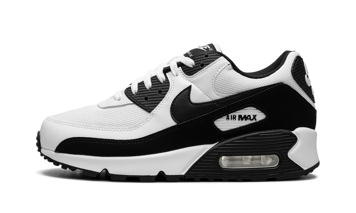 Air Max 90 "Panda" CN8490 101