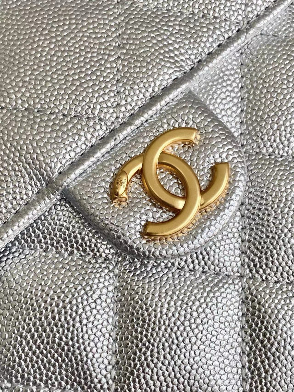 CC 25C Hobo Bags 30cm Silver Metallic Grained Calfskin