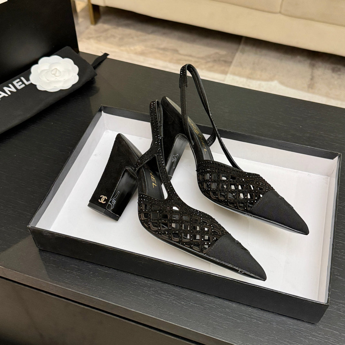CC 26s Rhinestone Pointed-Toe Shoe Black Suede Canvas 907703