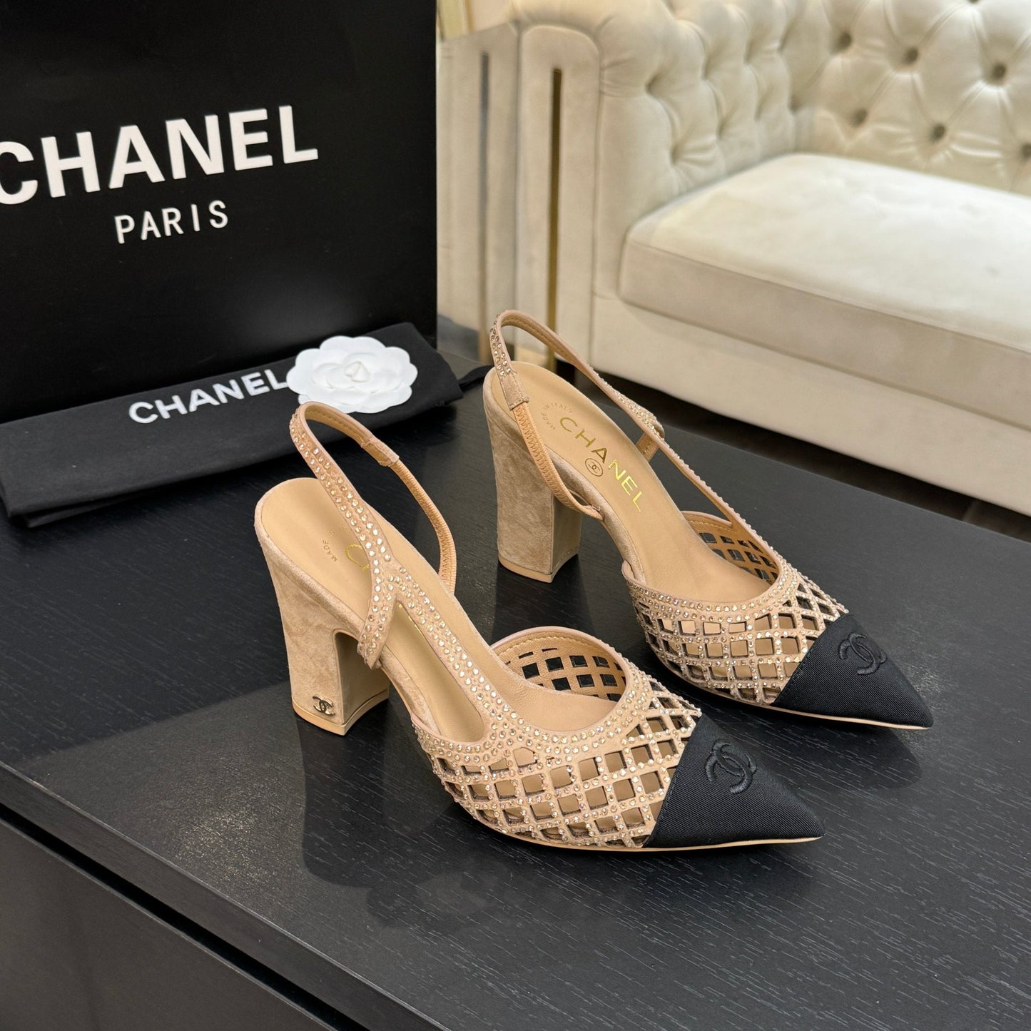 CC 26s Rhinestone Pointed-Toe Shoe Beige Black Suede Canvas 907704