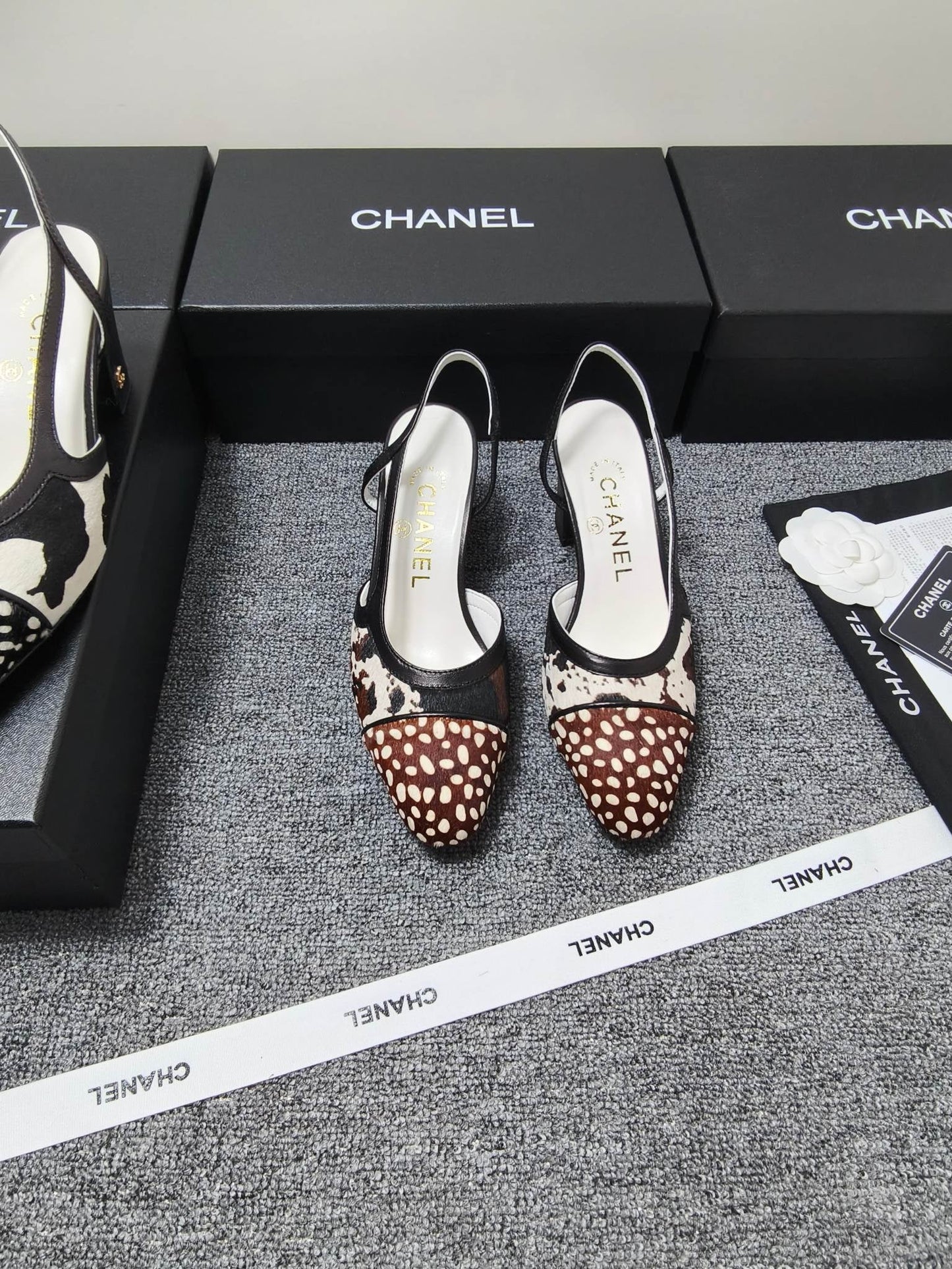 CC SS 2026 Slingbacks 6.5cm White Brown Black Calfskin Lambskin