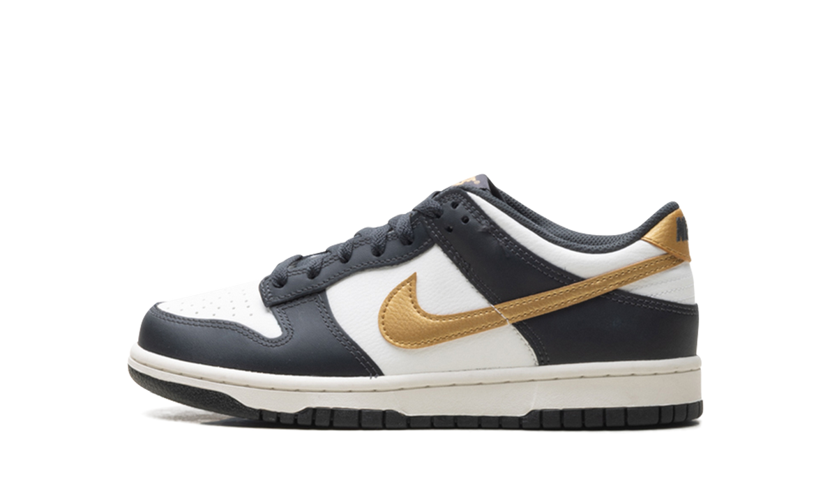 Dunk Low GS "Summit White Metallic Gold" HV2533 100